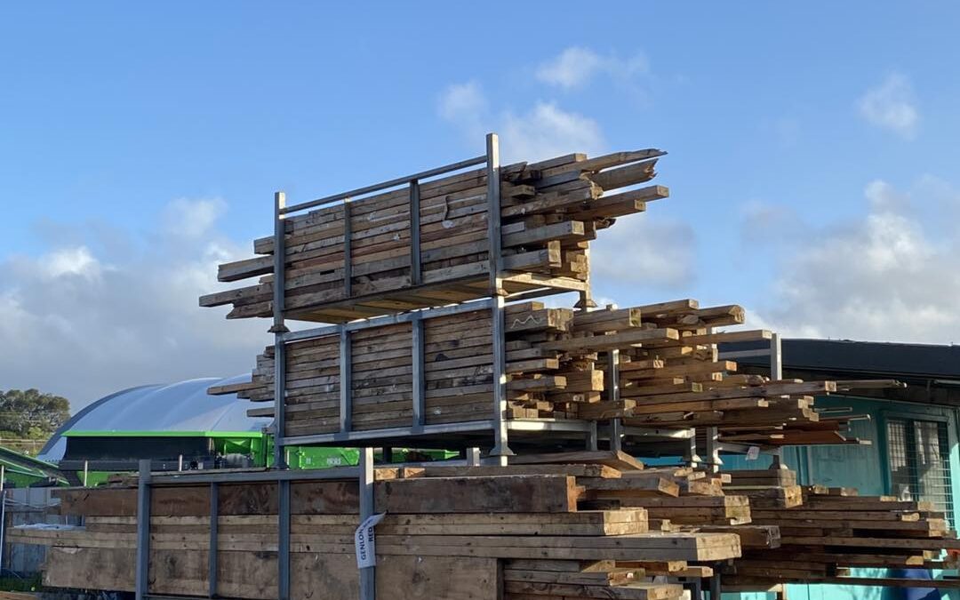 Timber Sorting in ACTION!