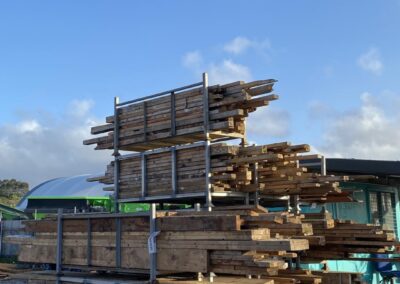Timber Sorting in ACTION!