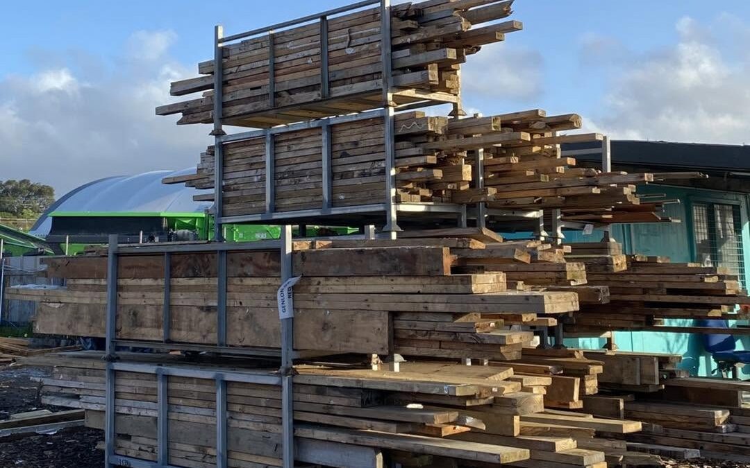 Timber Sorting in ACTION!