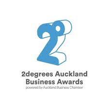 New Zealander of the year awards